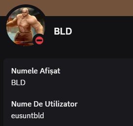 Profil Discord